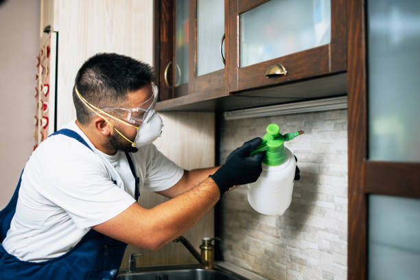 Best Wildlife Control Services  in Waverly, IL