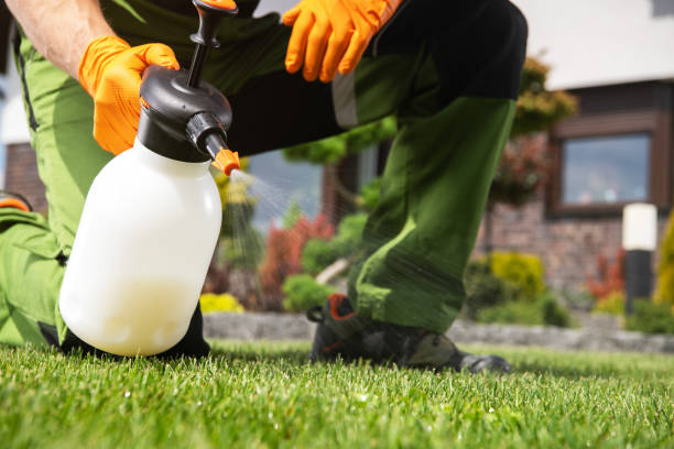 Best Pest Inspection Near Me  in Waverly, IL