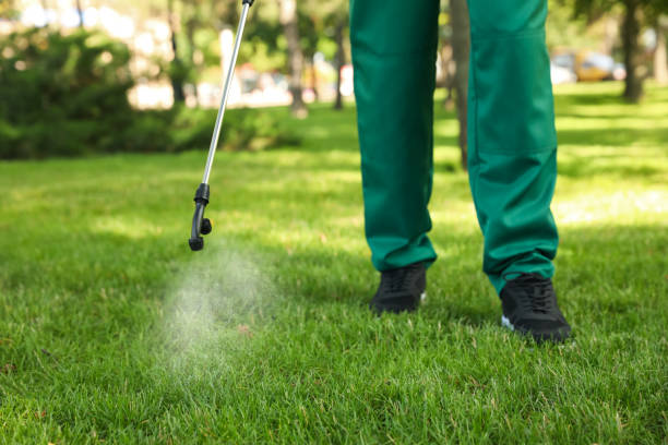 Best Emergency Pest Control  in Waverly, IL