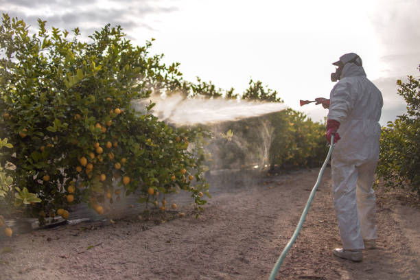 Best Best Pest Control Companies  in Waverly, IL