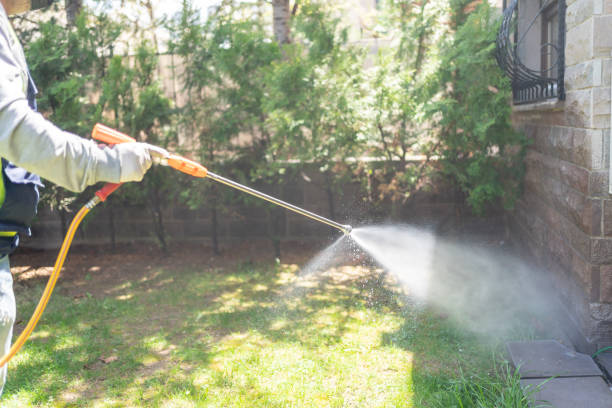 Best Rat Extermination Near Me  in Waverly, IL