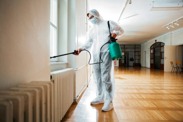Best Cockroach Control Services  in Waverly, IL