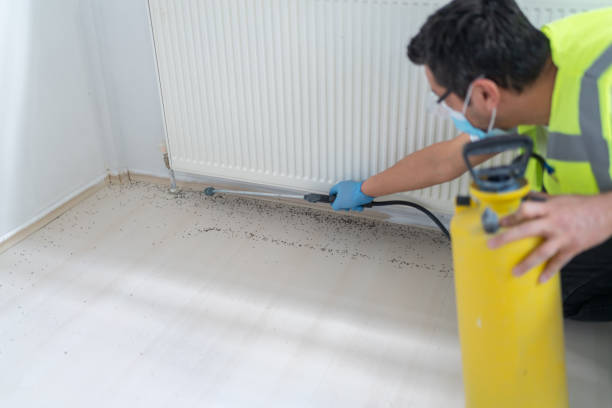 Best Cockroach Control Services  in Waverly, IL