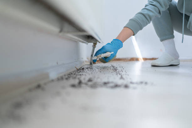Best Best Pest Control Companies  in Waverly, IL